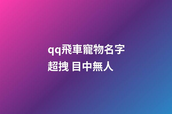 qq飛車寵物名字超拽 目中無人